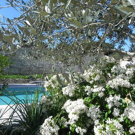 Villa Del Re 3 Face A La Piscine Ла-Флот Экстерьер фото